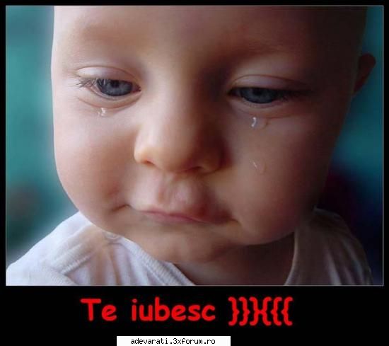 pe baietii  :wink2:  :hi:  sunt meseriasi sonorizari dej